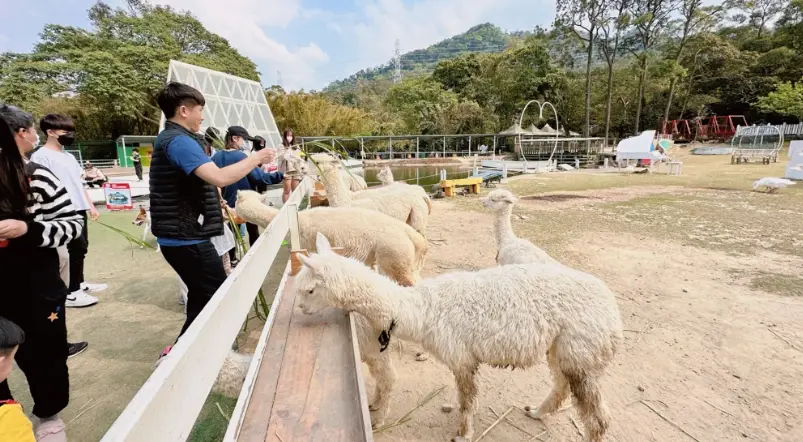 台灣農場帶寵物
