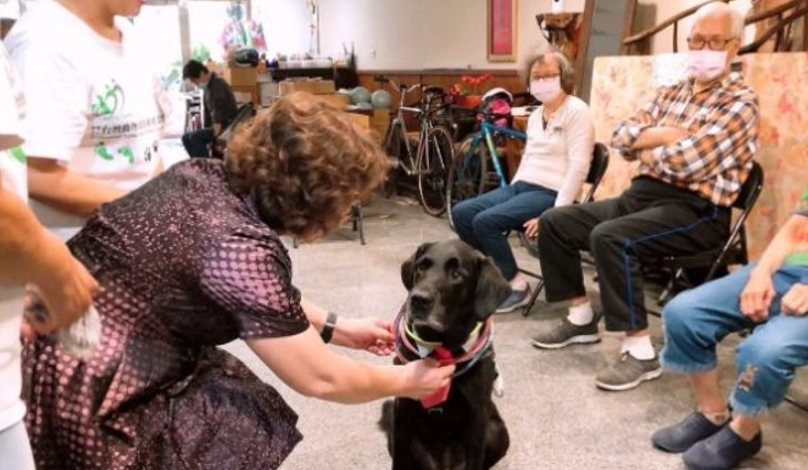 寵物離世心理調適 寵物離世心理調適