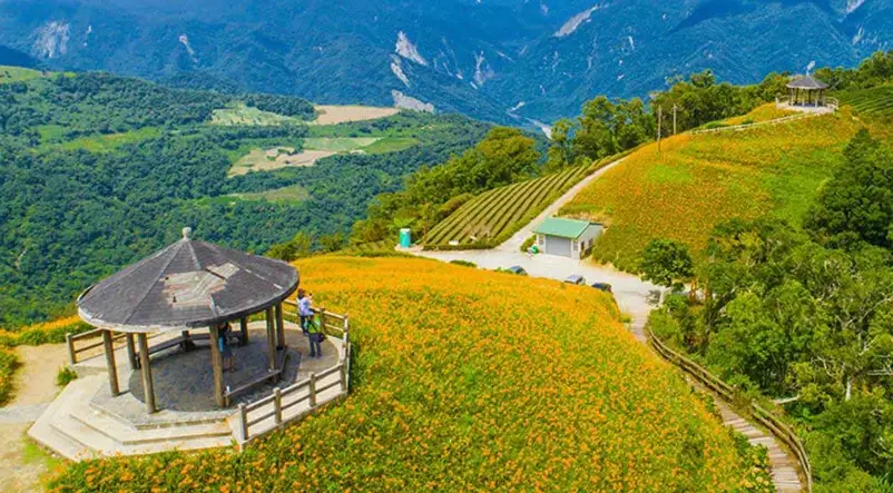 台東自由行攻略