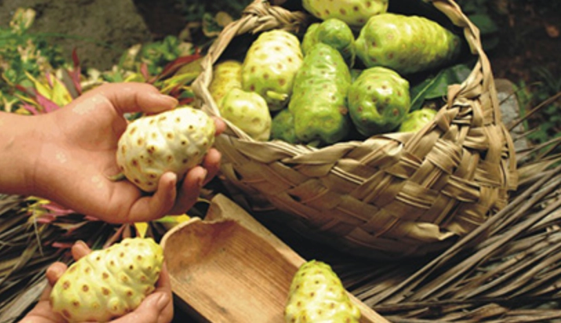 蘿尼果怎麼吃 蘿尼果怎麼吃