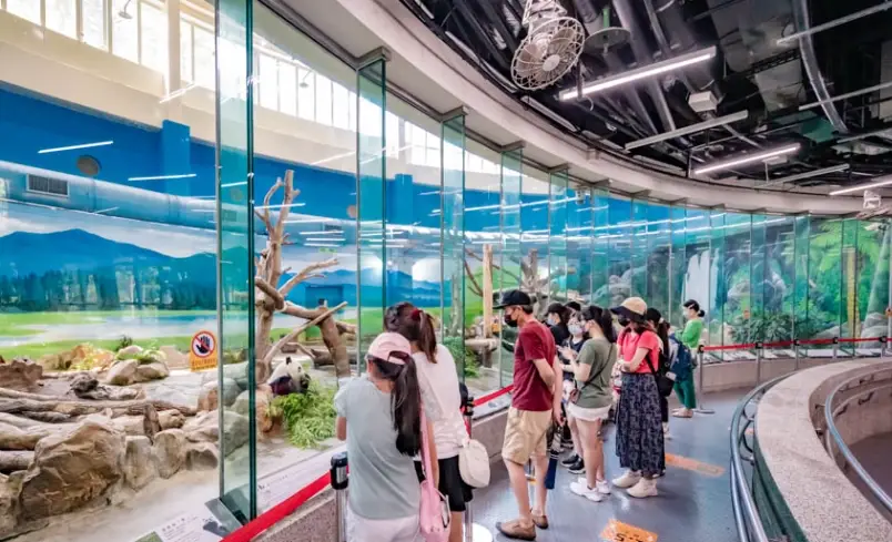 新北晚上帶小孩去哪 新北晚上帶小孩去哪