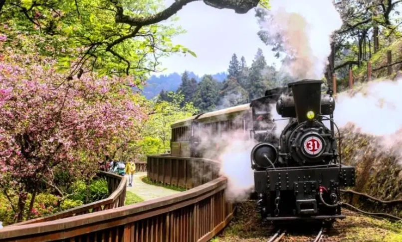 台灣森林遊樂區 台灣森林遊樂區