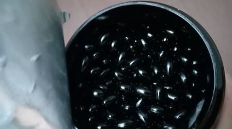 蜂膠膠囊功效與吃法