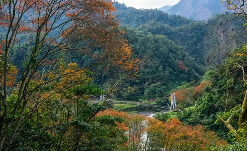 台灣森林遊樂區 台灣森林遊樂區