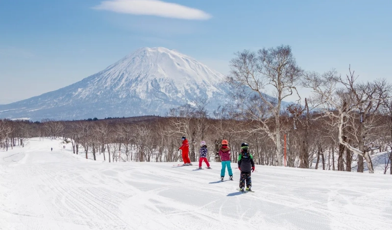 北海道滑雪團 北海道滑雪團