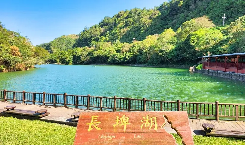 安農溪落羽松 安農溪落羽松