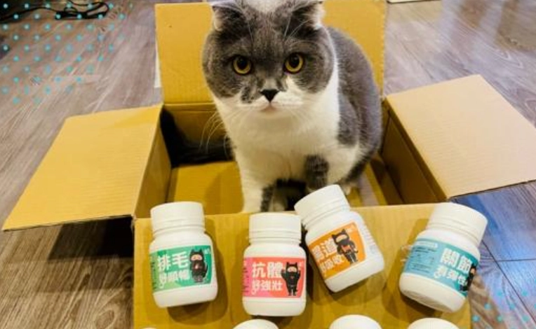 貓咪需要保健品嗎