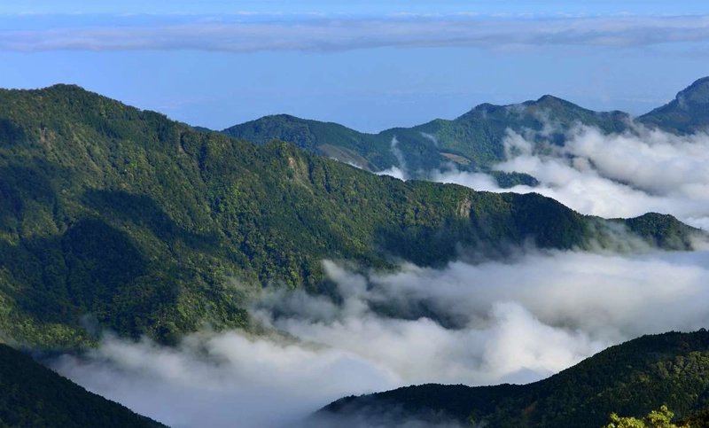 觀霧一日遊行程