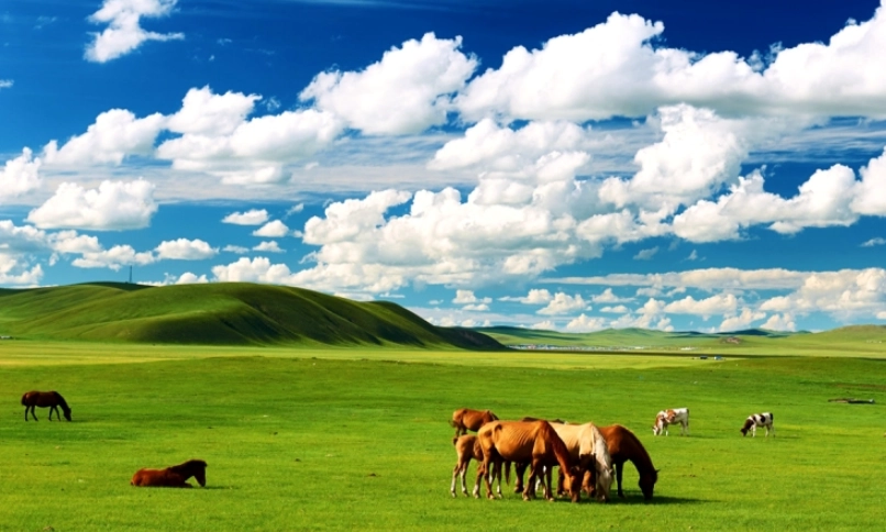 內蒙古必去景點