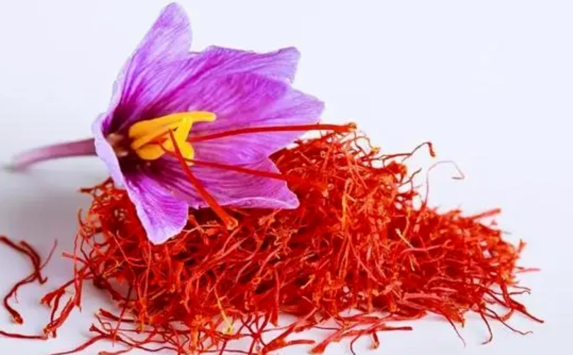 藏紅花副作用