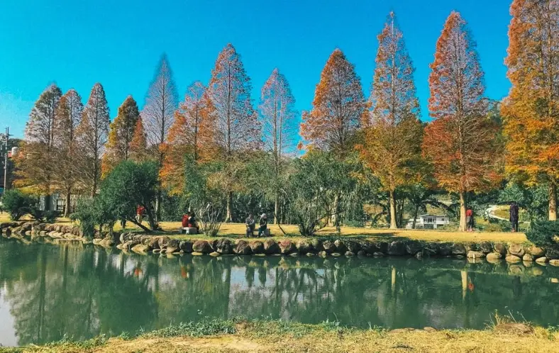 新竹景點一日遊