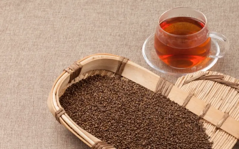 麥香決明子茶怎麼泡