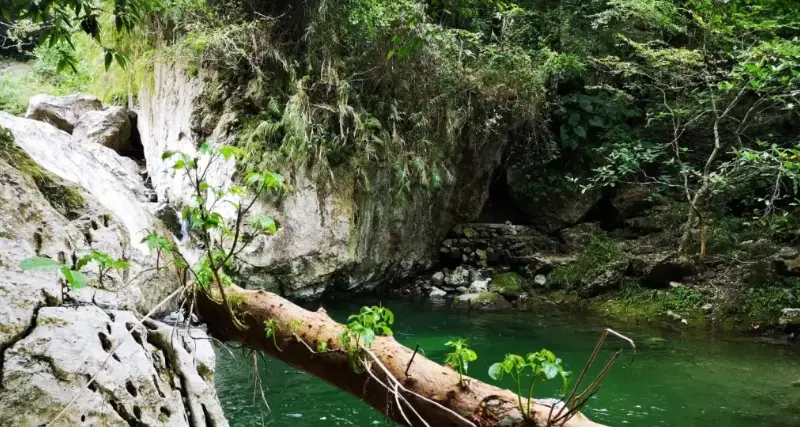 台東秘境 台東秘境