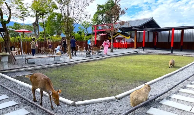 三星蔥體驗 三星蔥體驗