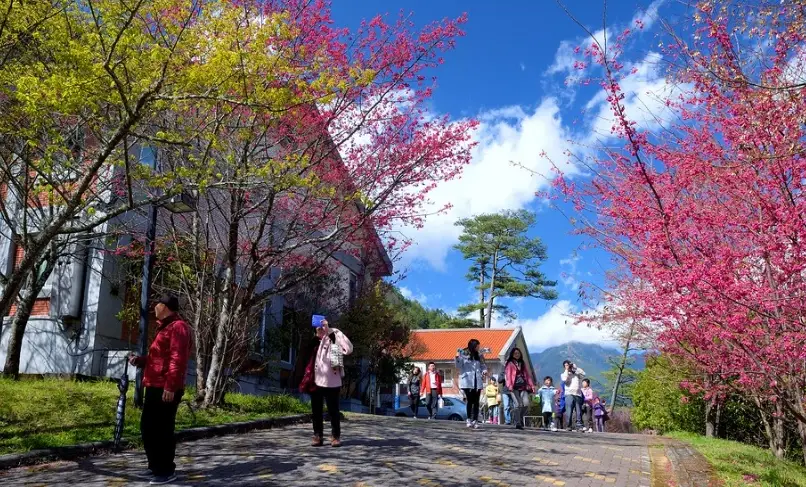 武陵國家公園 住宿