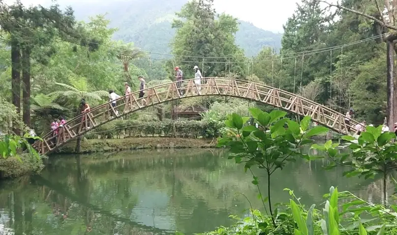 森林步道推薦 森林步道推薦