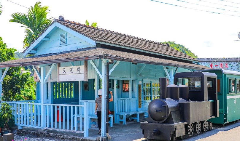 安農溪落羽松 安農溪落羽松