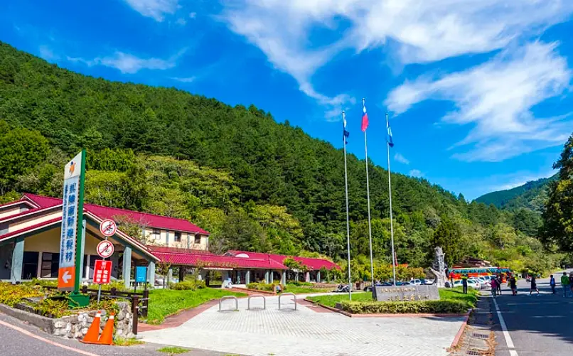 武陵國家公園全攻略：賞櫻、健行、住宿與交通完整指南