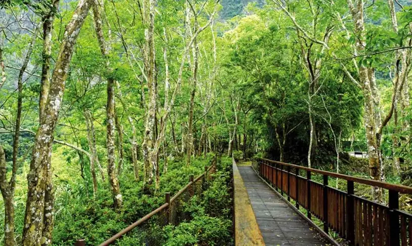 台灣森林遊樂區 台灣森林遊樂區