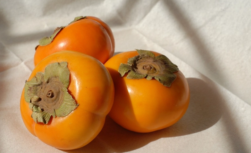 柿子不能配什麼