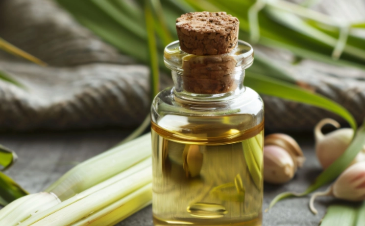 檸檬草精油驅蟲