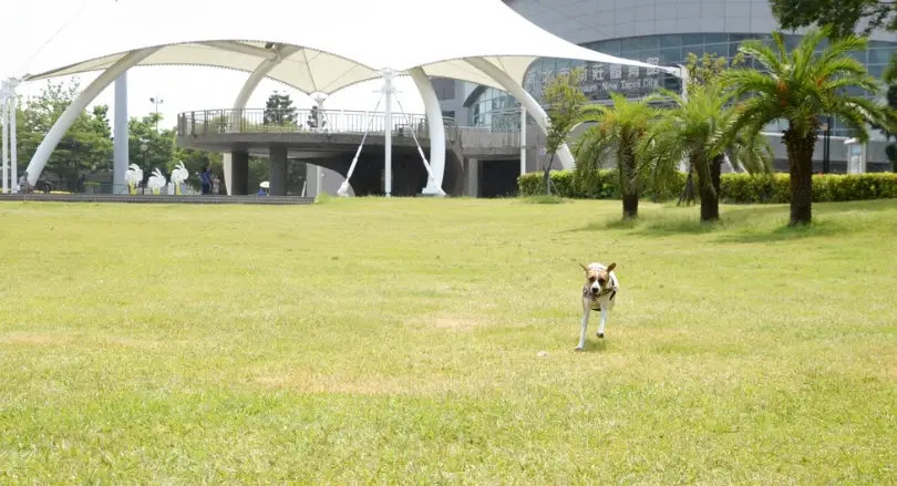 新莊寵物公園