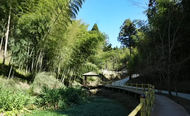 雲林親子景點 雲林親子景點