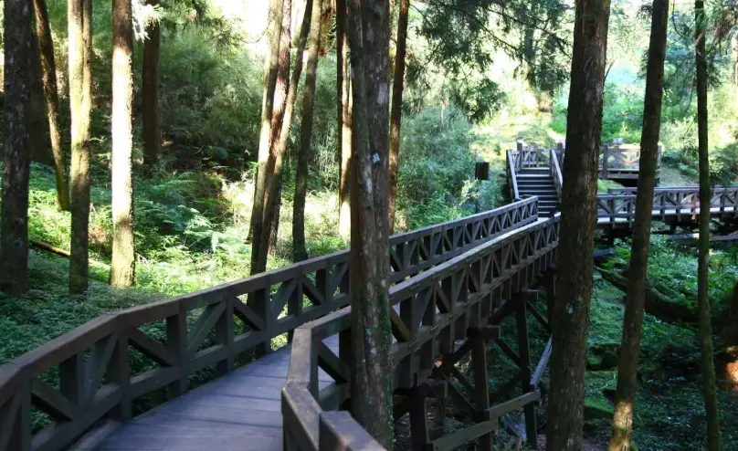 森林步道推薦 森林步道推薦