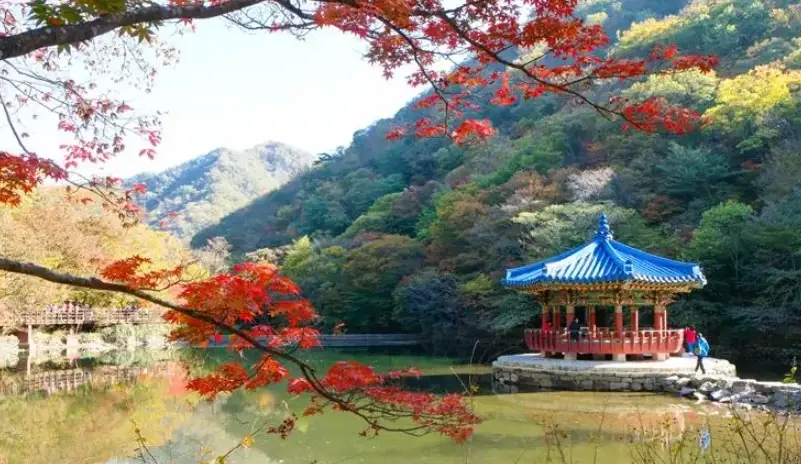 首爾近郊一日遊 首爾近郊一日遊