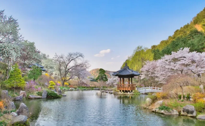 南怡島交通 南怡島交通