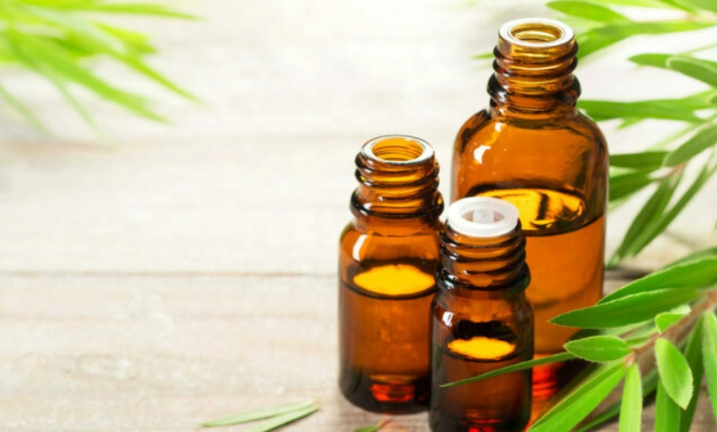 茶樹精油功效 茶樹精油功效