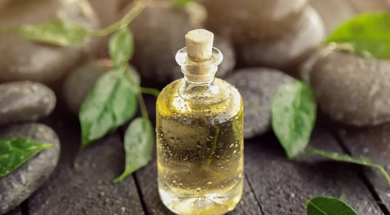 茶樹精油功效 茶樹精油功效