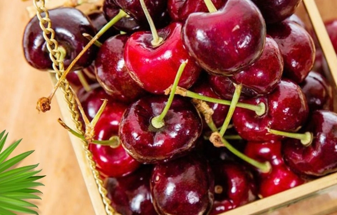 櫻桃 不能和什麼一起吃 櫻桃 不能和什麼一起吃
