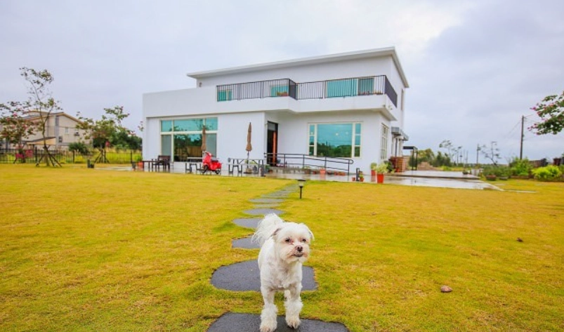 新竹帶寵物餐廳