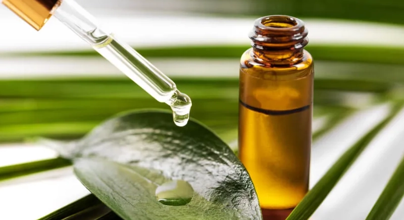 茶樹精油功效 茶樹精油功效