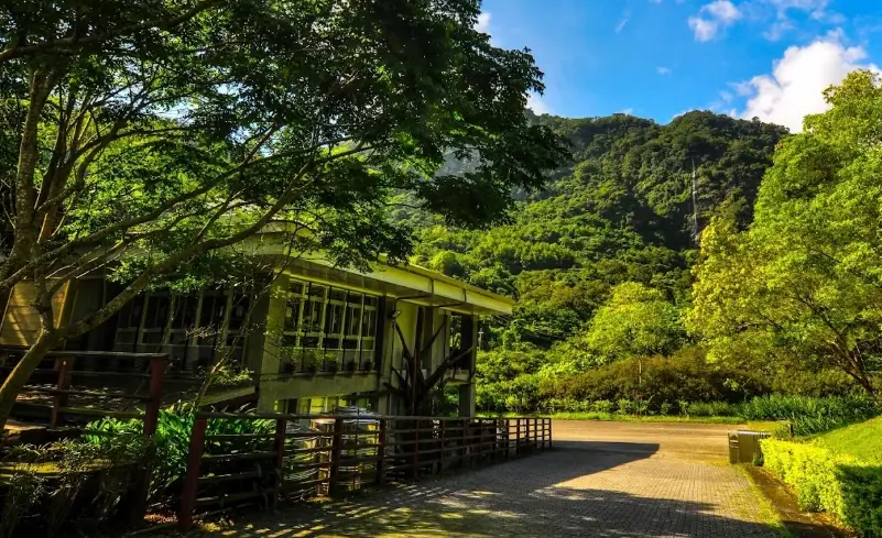 知本森林遊樂區