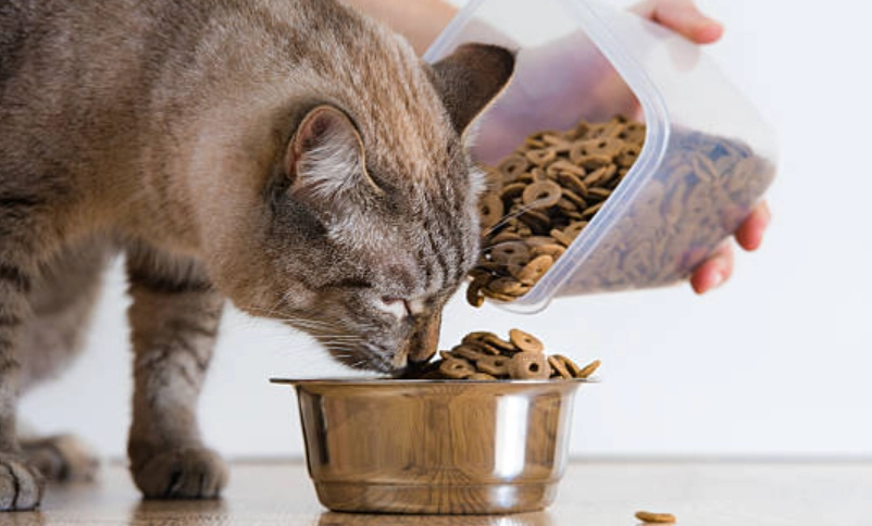 貓咪潔牙零食 貓咪潔牙零食