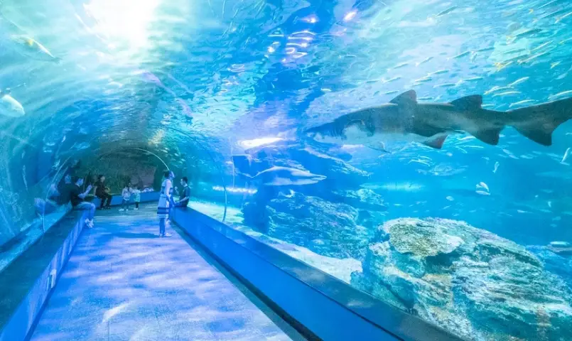 釜山東區自由行