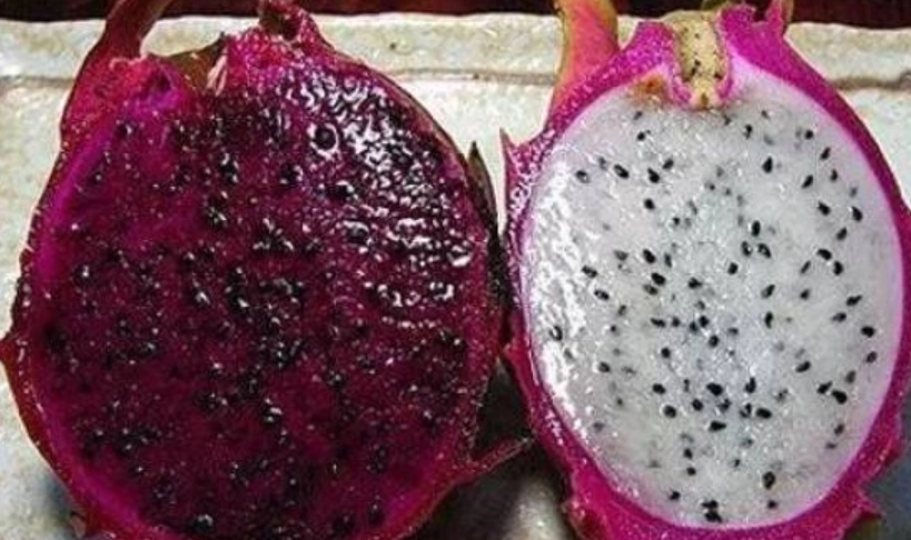 火龍果 壞掉 判斷