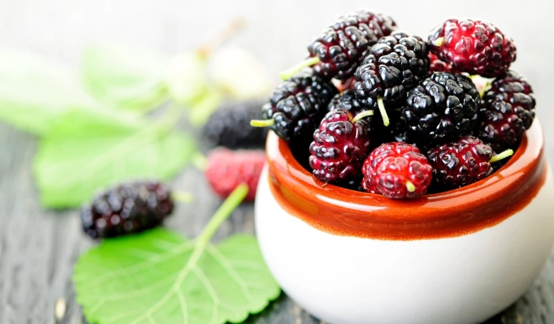 桑葚吃法 桑葚吃法