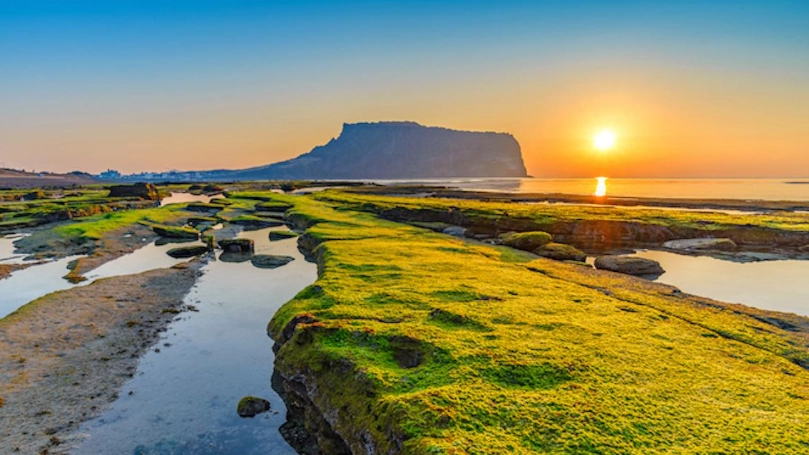 韓國自由行 韓國自由行