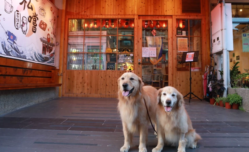 竹北狗狗餐廳推薦