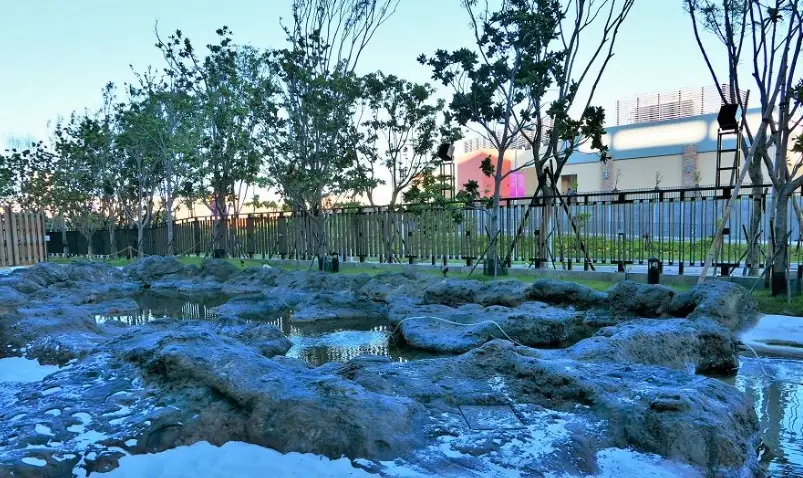 大溪老街交通 大溪老街交通