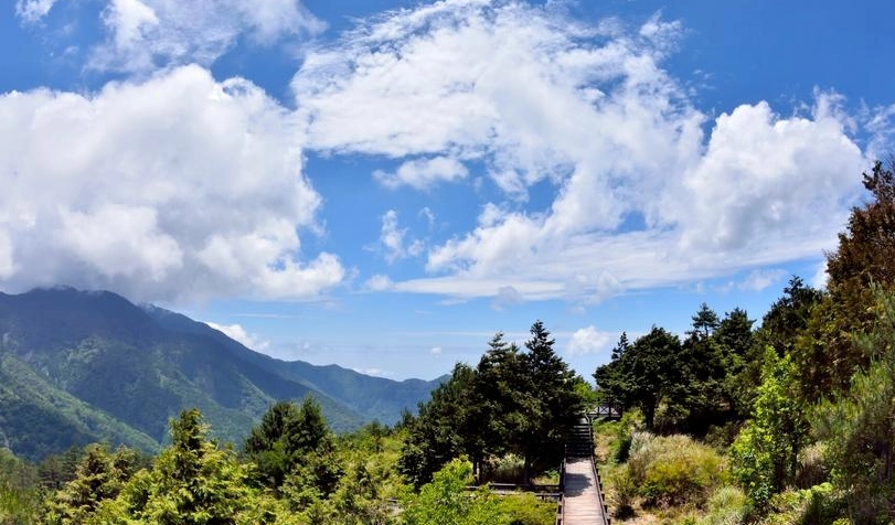 觀霧森林遊樂區