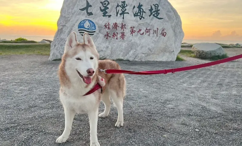台灣寵物友善景點