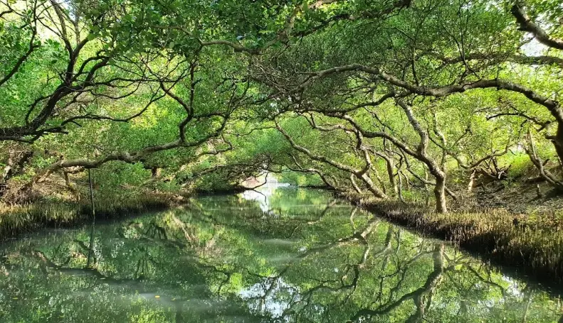 台南旅遊路線 台南旅遊路線