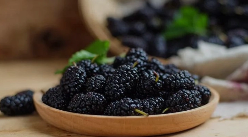 桑葚功效 桑葚功效