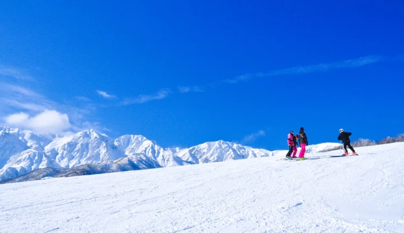 雪場優惠票 雪場優惠票
