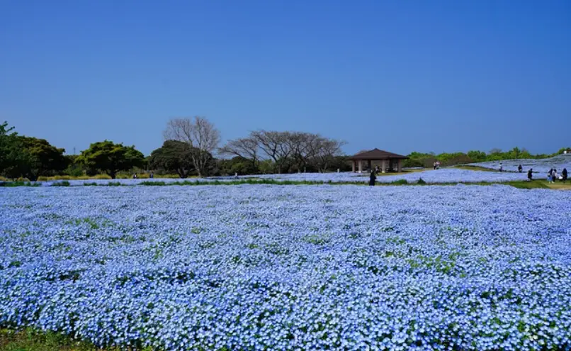 福岡旅遊 福岡旅遊