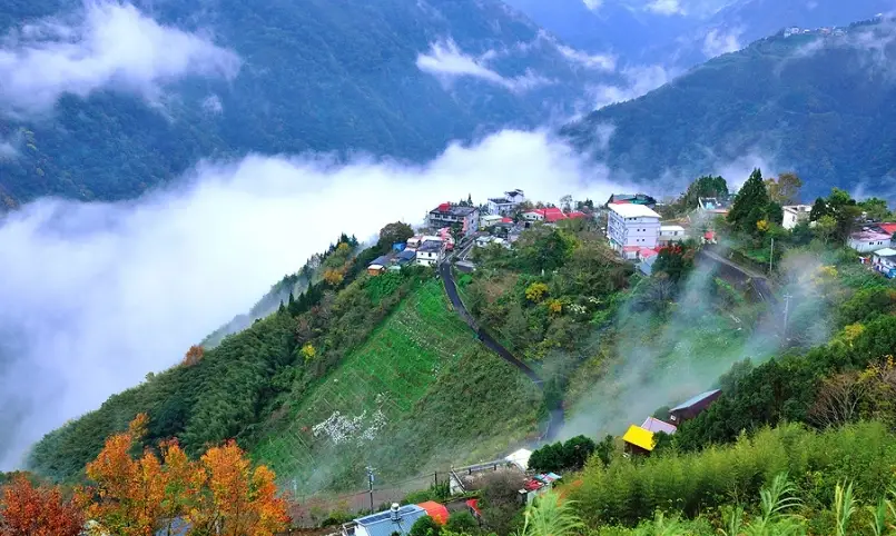 拉拉山國家森林遊樂區 拉拉山國家森林遊樂區